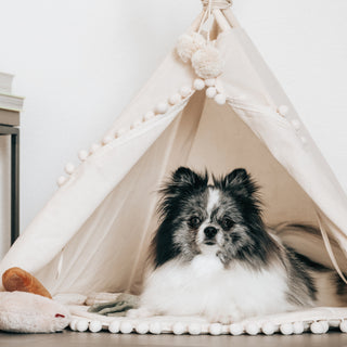 MINICAMP Dog Teepee & Large Cat Tent in Ecru with Pompoms
