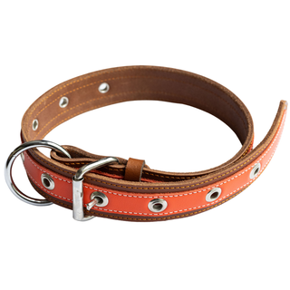 Genuine Leather Dog Collar – Orange Brown Classic Style – Heavy Duty Handcrafted Pet Collar